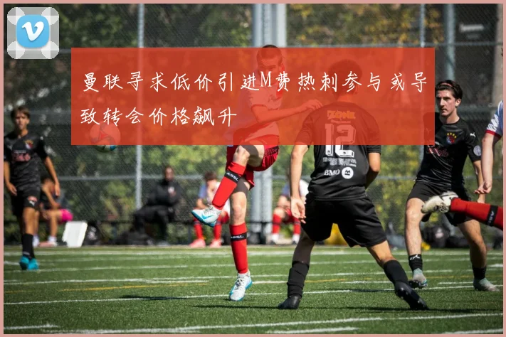 曼联寻求低价引进M费热刺参与或导致转会价格飙升