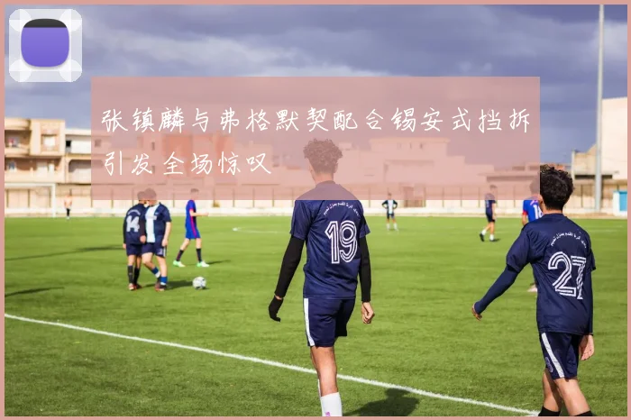 张镇麟与弗格默契配合锡安式挡拆引发全场惊叹